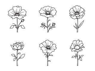 nicotiana clear vision simple line art