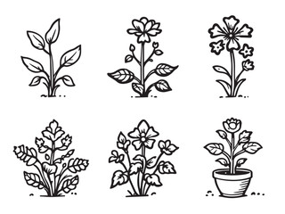 nicotiana clear vision simple line art