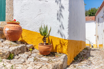 Cobblestone Street and Colorful Flowers in Obidos