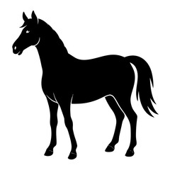 Horse Silhouette Standing