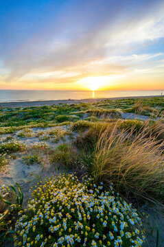Paradise beach at sunset time - Tuscany -  Travel destination in Italy