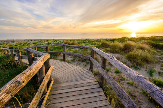 Wooden Walkway to paradise beach at sunset time - Tuscany -  Travel destination in Italy