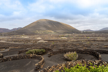 La Geria - The wine route of Lanzarote, growing wine on lava ashes