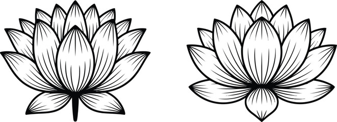 Black and white outline drawings of lotus flowers bloom