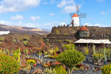The "Jardín de Cactus" (Cactus garden) in Lanzarote, houses 500 species of cactus.