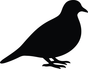 Silhouette pigeon standing calmly black and white vector illustrator