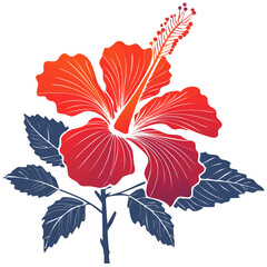 Hibiscus rosa-sinensis