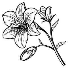 Obraz premium black and white flowers
