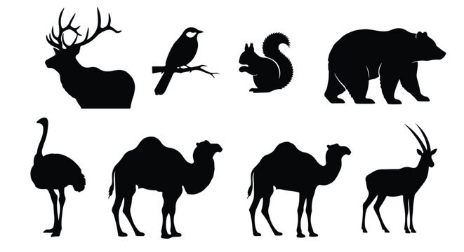 Vector silhouette illustration a collection of animal silhouettes including a bird on a branch, a squirrel, and two camels on a white background