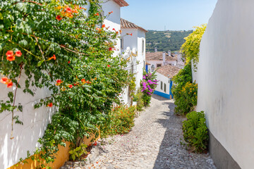 Cobblestone Street and Colorful Flowers in Obidos