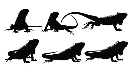 Naklejka premium Silhouette vector set a collection of black iguana silhouettes in various poses on a white background