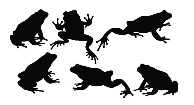 Silhouette vector set a collection of black frog silhouettes captured in various dynamic jumping and leaping poses against a stark white background