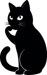 Black Cat Sitting and Licking Paw Isolated on White