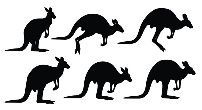 Silhouette vector set a collection of black kangaroo silhouettes in various leaping and hopping poses against a white background