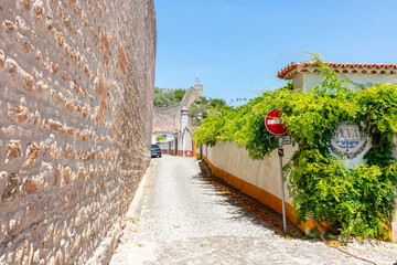 Historic Castle and Whitewashed Houses in Obidos
