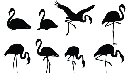 Obraz premium Silhouette vector set a collection of black flamingo silhouettes in various graceful poses, including standing, walking, and flying