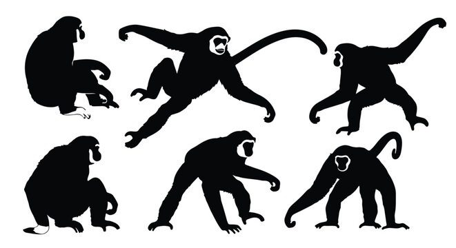 Silhouette vector set silhouettes of gibbons in dynamic poses, swinging and jumping through trees