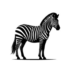Zebra Family Vector – Heartwarming Wildlife Scene in African Savannah