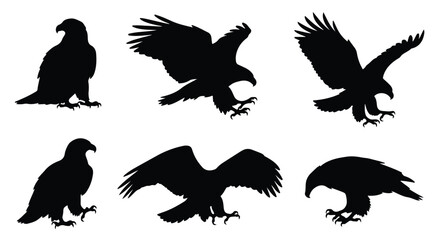 Obraz premium Silhouette vector set a collection of black eagle silhouettes in various dynamic flight poses, showcasing their powerful wings and talons