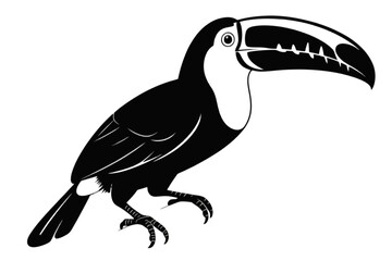 Fototapeta premium Toucan Bird Silhouette tropical exotic
