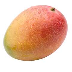 Fototapeta premium Ripe mango with beautiful red-yellow gradient coloring and natural water droplets covering the smooth curved surface, isolated on a transparent background