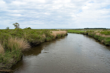 Fototapeta premium Ile de Malprat, Réserve naturelle , Bassin d'Arcachon , 33, Gironde, France
