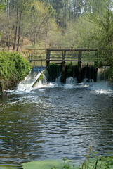 Obraz premium Rampe à poissons, Barrage, Vallée de la Leyre, riviére la Leyre, Parc naturel régional des Landes de Gascogne, 33, Gironde, France