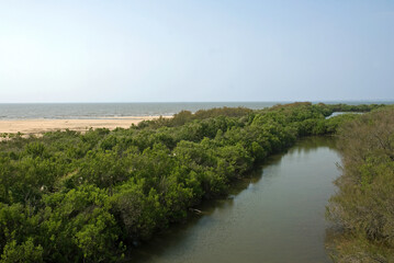 Fototapeta premium Reserve ornithologique du Teich, Bassin d'Arcachon, 33, Gironde, France