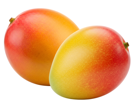 Fresh tropical mango fruits with vivid red, orange, and yellow hues
