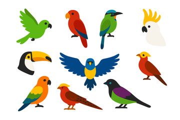 Birds, parrots flat icon set. avian species, wildlife icons flat collection