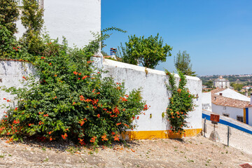 Cobblestone Street and Colorful Flowers in Obidos