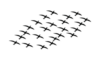 Obraz premium Flying Bird Silhouettes Vector on White Background