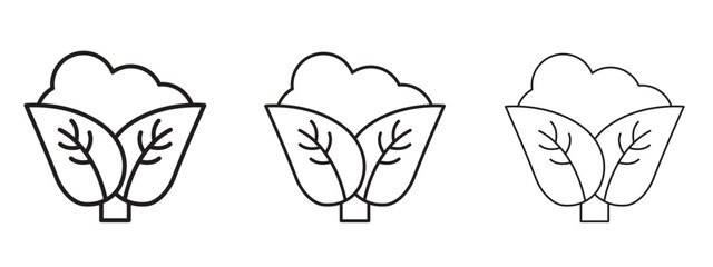 Cauliflower icon. Simple element illustration. Can be used for web and mobile.