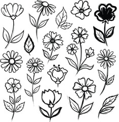 Hand-Drawn Black and White Flower Doodles: Artistic Botanical Sketch Collection for Floral Designs