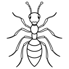 A black and white outline drawing of an ant