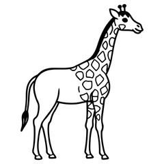 A giraffe illustration isolated on a white background