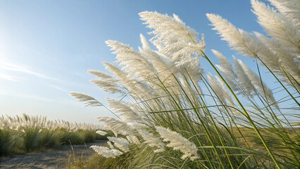 green grass and blue sky
