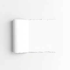Blank torn paper page on a white background for creative design and art projects