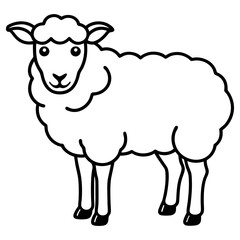 A cute sheep standing on a white background