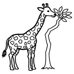 A giraffe with a long neck eating leaves from a tree