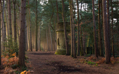 Obraz premium Trees and a stone castle (folly) in enchanted woodland, West Yorkshire, England 