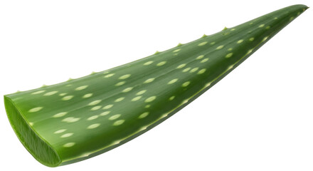 Isolated Aloe Vera
