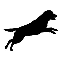 Black silhouette of a dog jumping against a transparent background