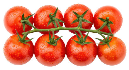 Isolated Tomatoes