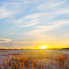 wide sandy prairie at the sunset