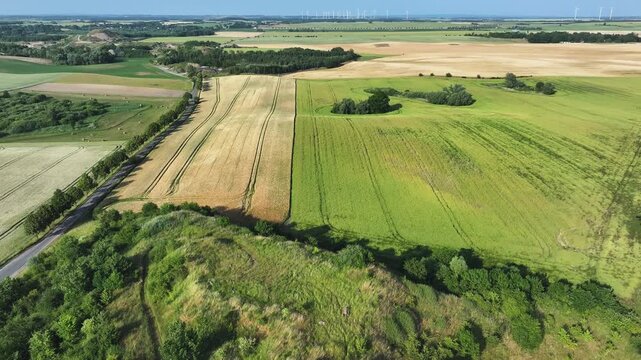 Aerial view of golden and green fields contrasting with the lush green hill, showcasing the rural landscape's vivid textures and natural beauty, Brussow, Brandenburg, Germany.