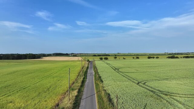 Aerial view of vibrant green and golden fields divided by a narrow road under a blue sky, wind turbines stand distantly, Brussow, Brandenburg, Germany.