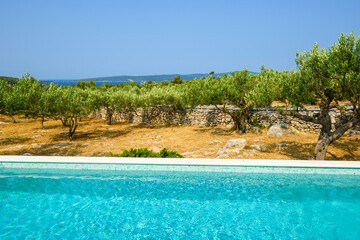 Swimming pool garden and olive trees of typical summer villa on the island of Brac in Croatia
