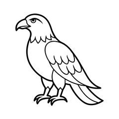 eagle coloring page on white background