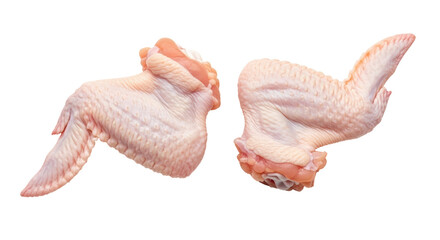Isolated Raw Chicken Wings